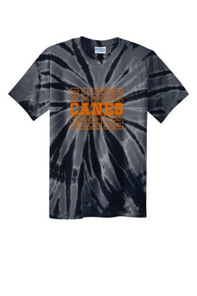 Youth & Adult Tie Dye tee- WDP24